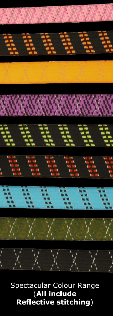 Stretch Dog Leads (ROK Straps) - SnowPaw Store - ROK Straps - Dog Collars, Leads, Belts